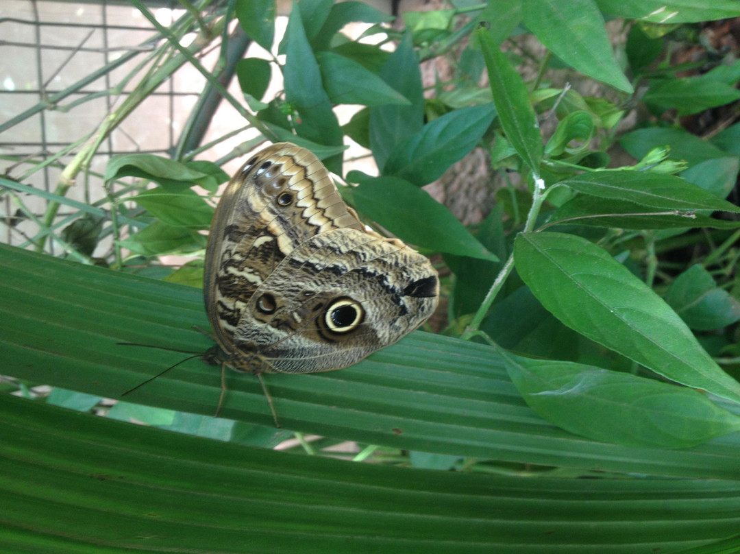 Bio Centro Iguazu-伊瓜苏港必去景点