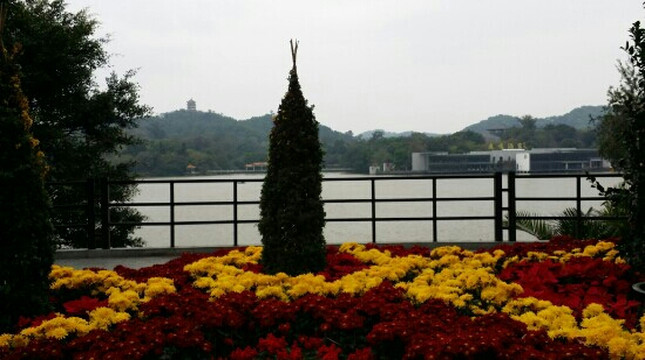 麓湖公园-广州市必去景点