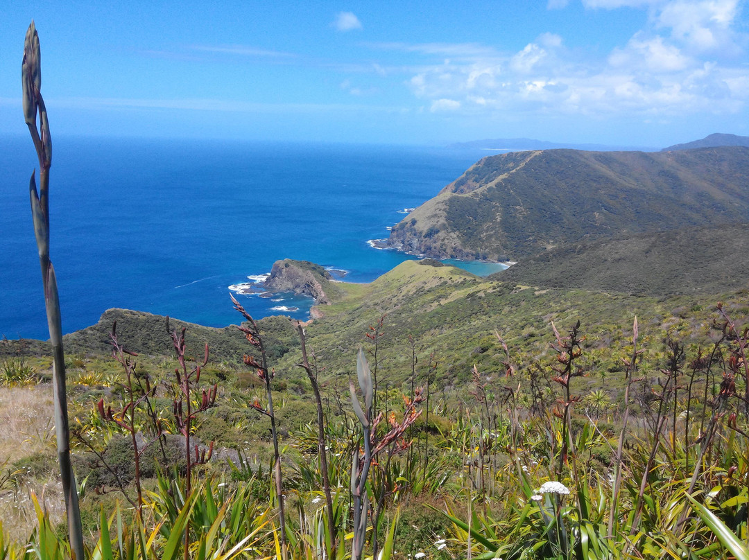 Cape Reinga Lighthouse景点图片
