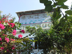 Gallery 4