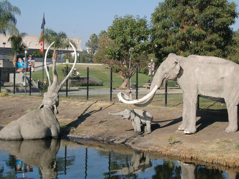 佩吉博物馆-洛杉矶必去景点