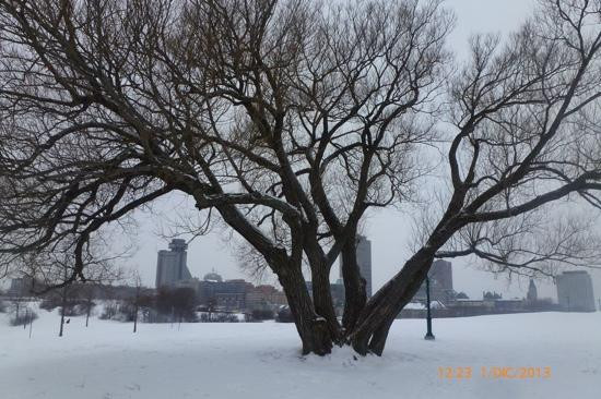 亚伯拉罕平原-魁北克市必去景点