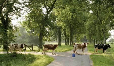 BoerenBed De Lange Weide