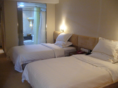 维也纳酒店(南丹洞天酒海景区金芙蓉广场店)主图