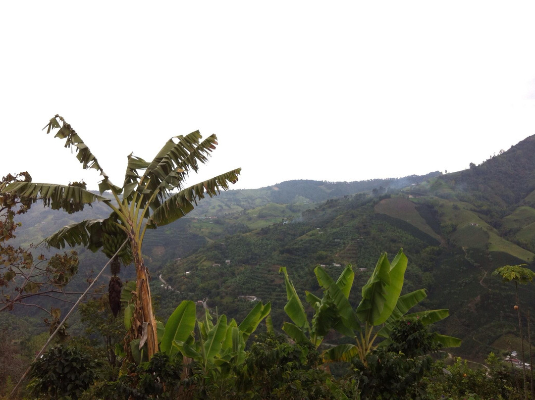 Cafe Tio Conejo-Manizales必去景点