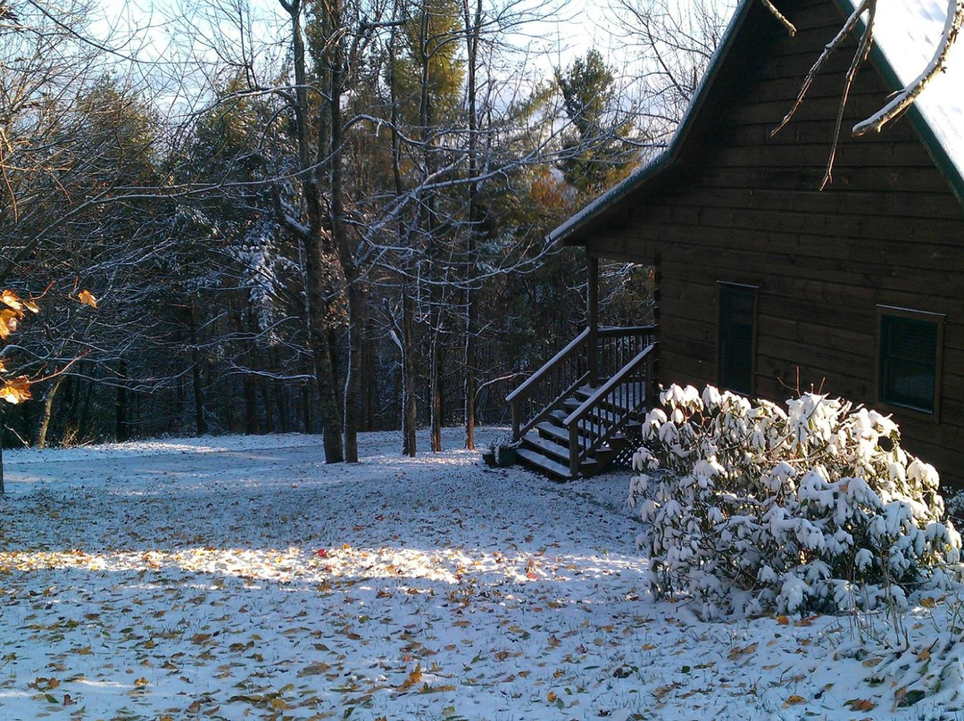 Parkway Cabins