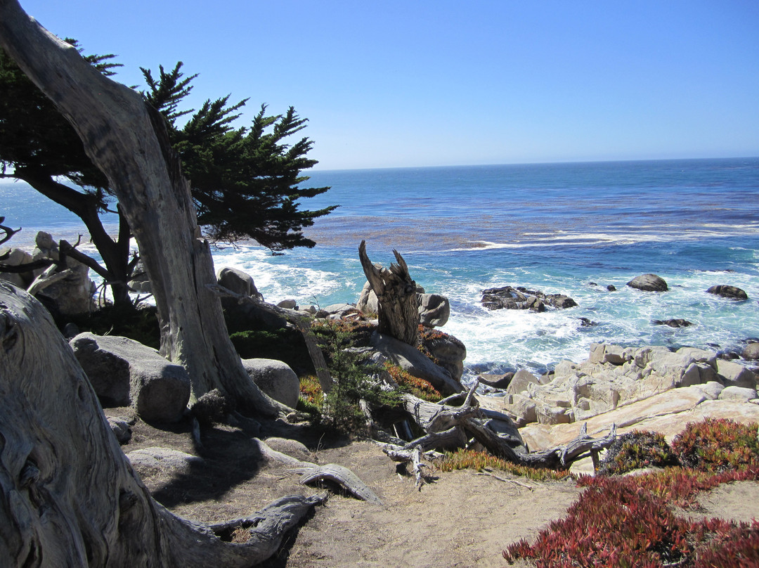 17英里路-蒙特雷必去景点