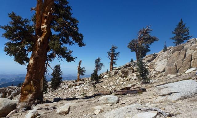 Lakes Trail in Sequoia National Park-红杉&国王峡谷国家公园必去景点