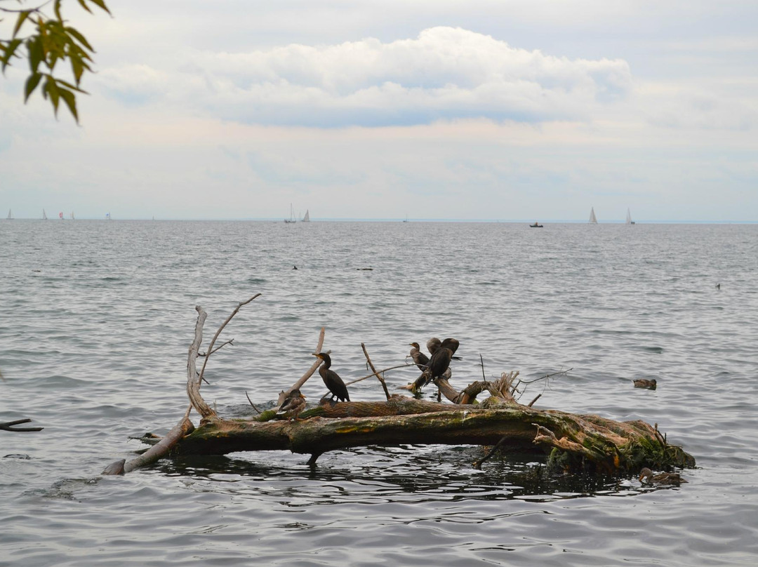 汉波湾公园-多伦多必去景点