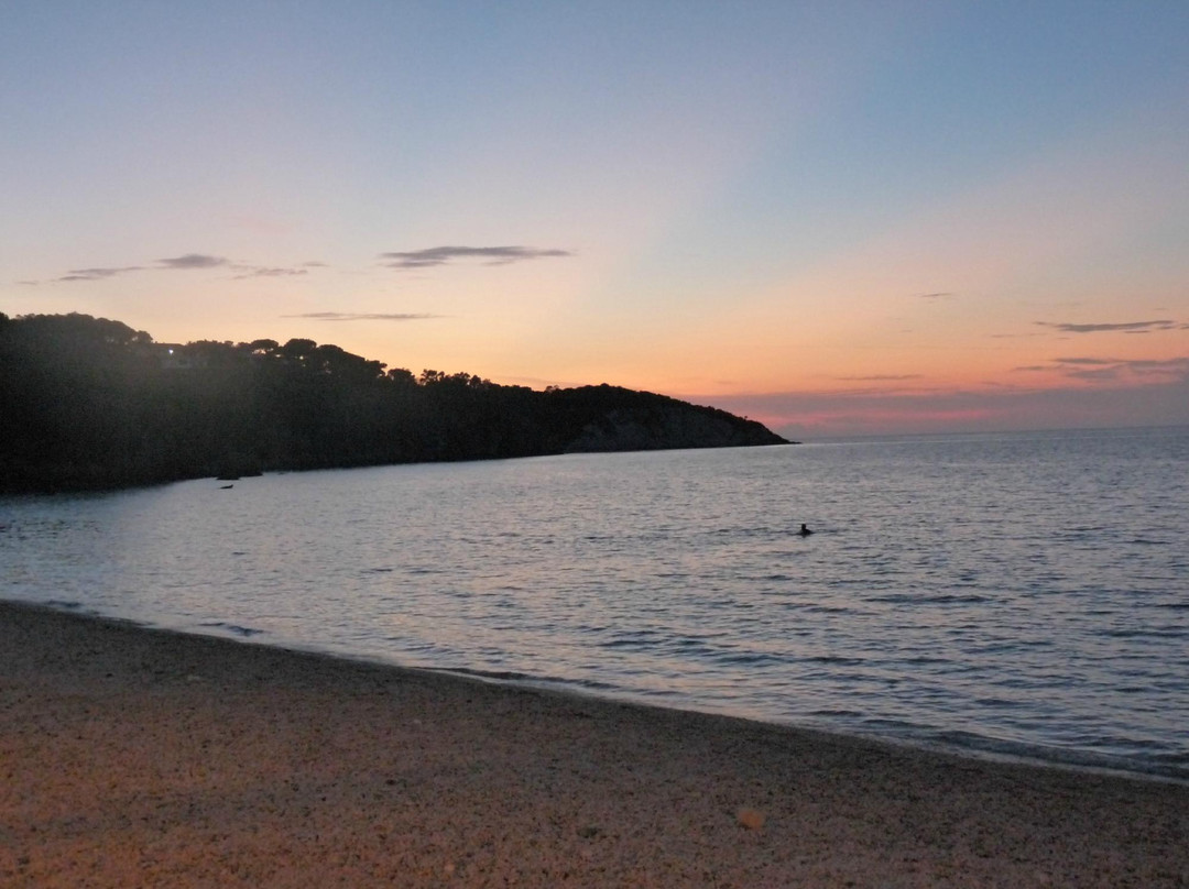 Spiaggia delle Ghiaie景点图片