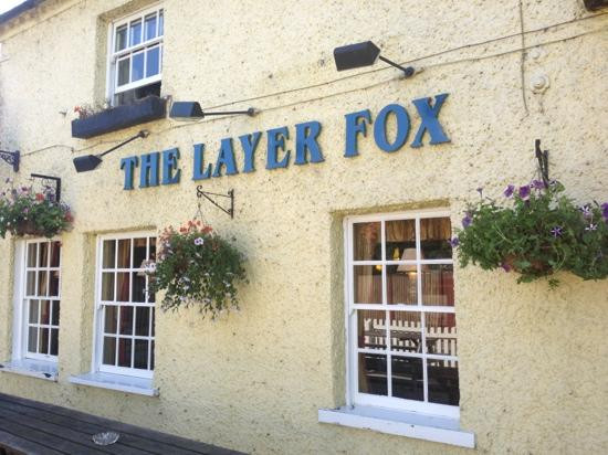 The Layer Fox主图