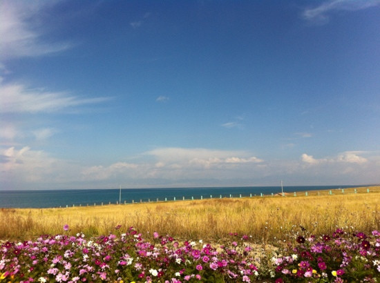 青海湖景点图片