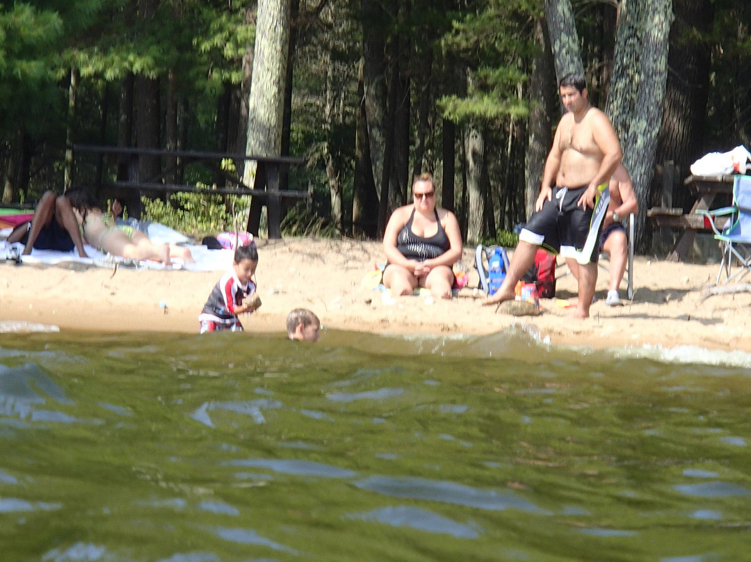 Sebago Lake State Park景点图片