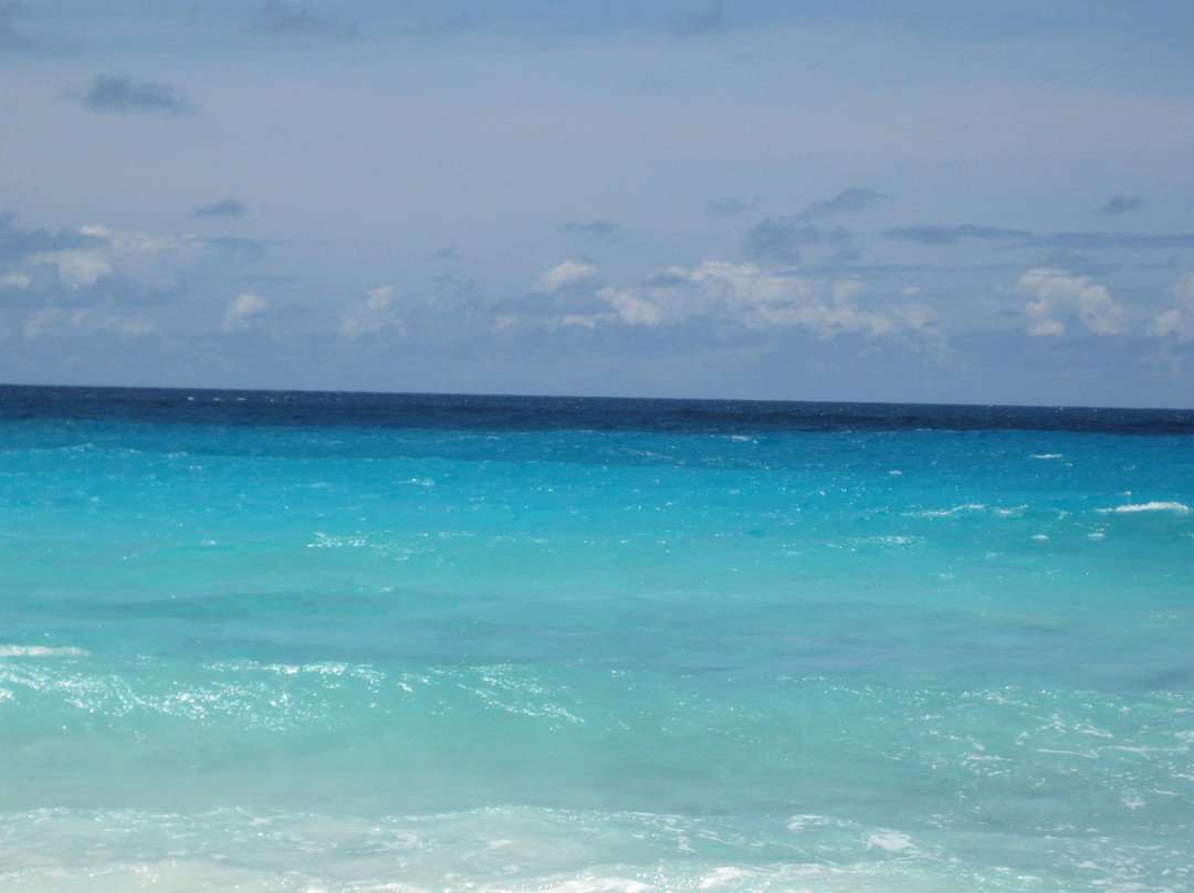 Rockley Beach-基督城必去景点
