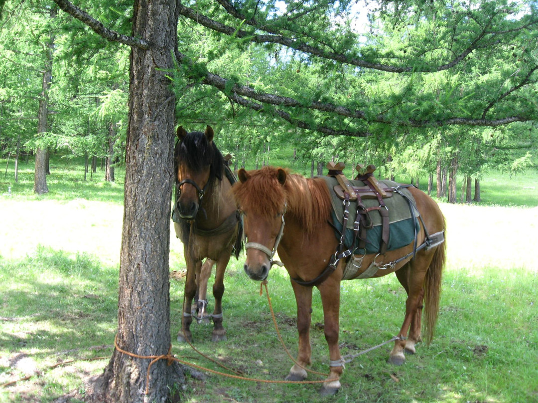 Stone Horse Expeditions & Travel - Day Tours-乌兰巴托必去景点