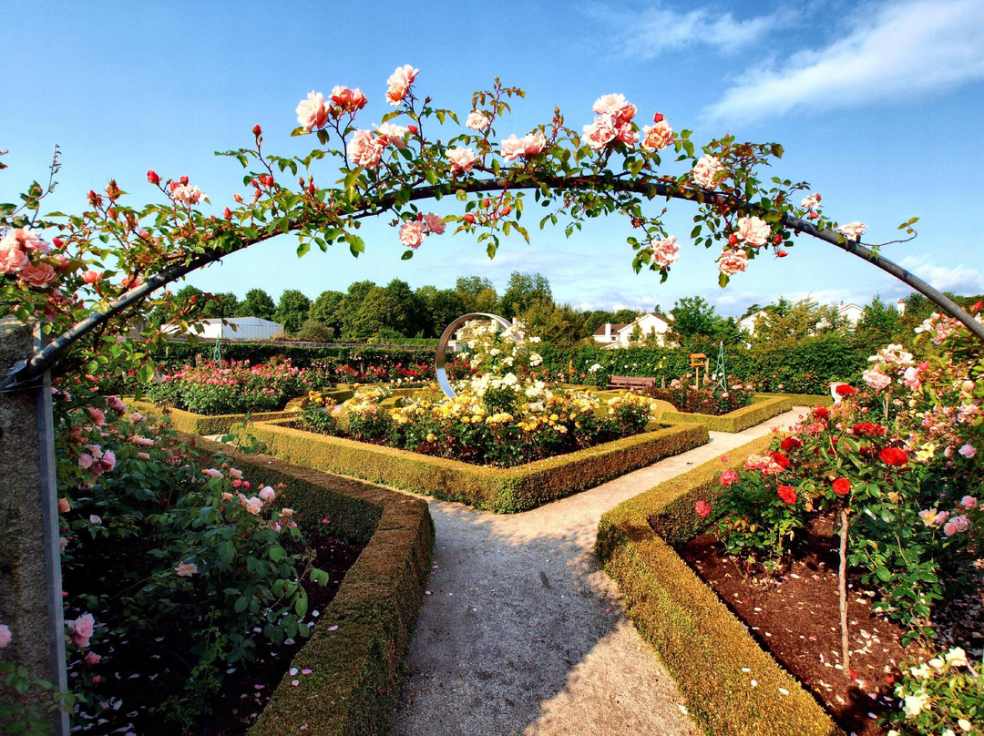 Carlow旅游景点-Delta Sensory Gardens