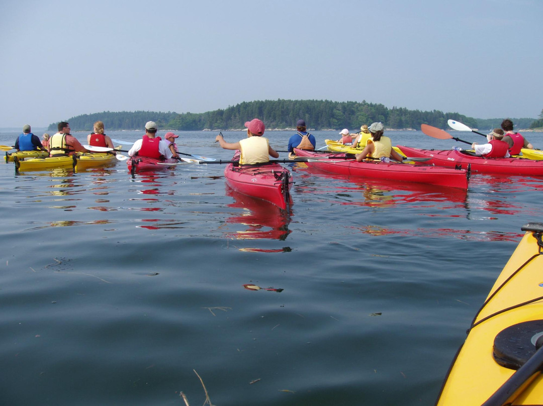 Tidal Transit Kayak景点图片