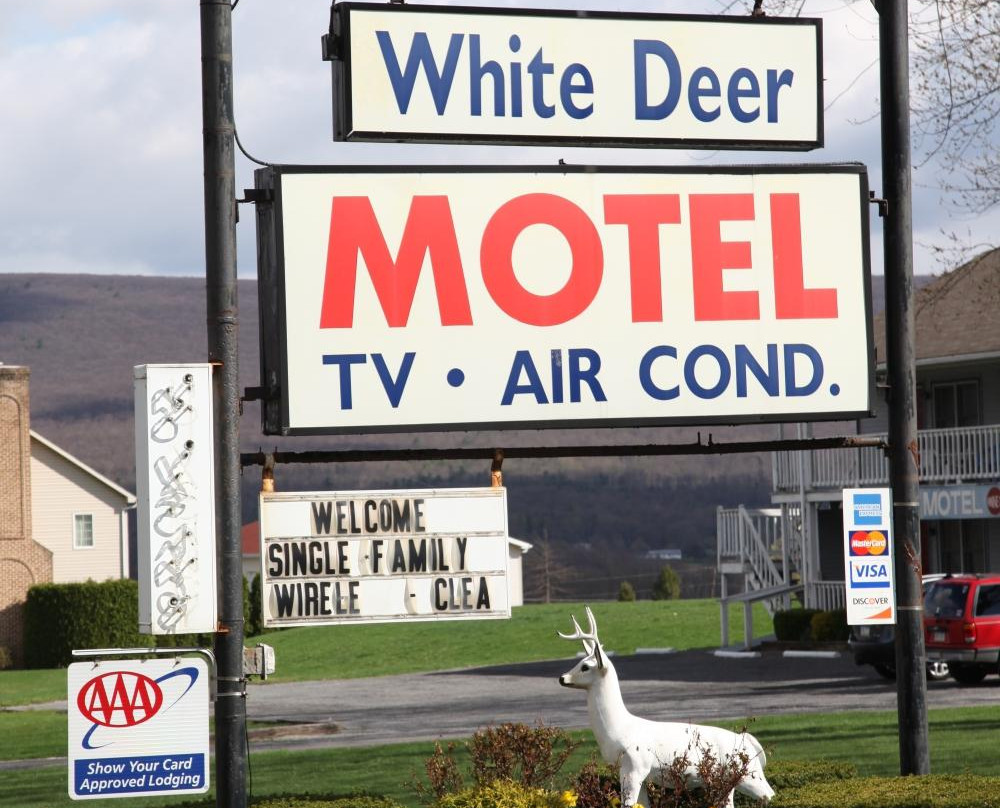 White Deer Motel主图