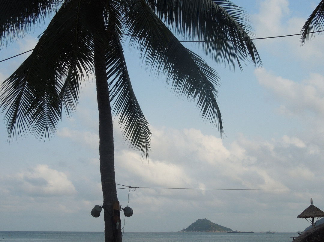 贾森湾-涛岛必去景点