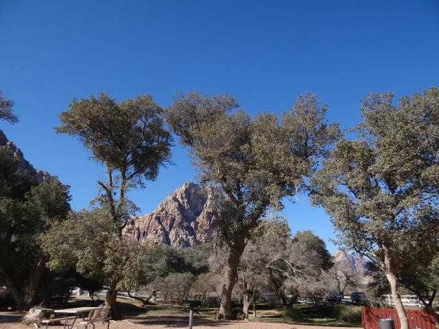 斯普林山牧场州立公园-Blue Diamond必去景点