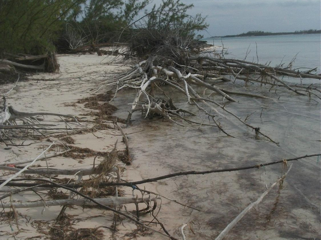 Winding Bay-伊柳塞拉必去景点