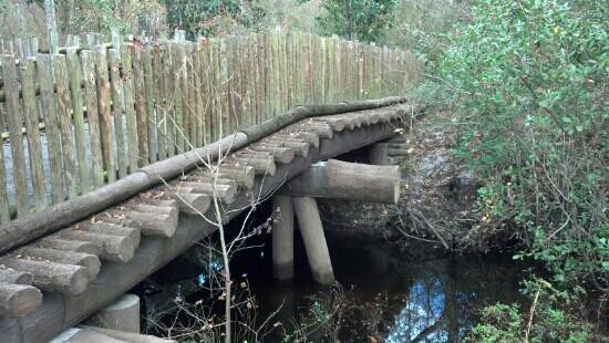 Camp Milton-杰克逊维尔必去景点