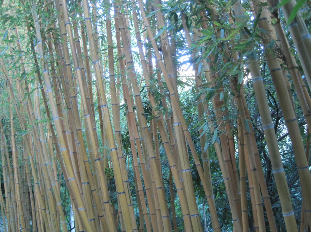 Jardin Botanique Val Rahmeh - Menton-芒通必去景点