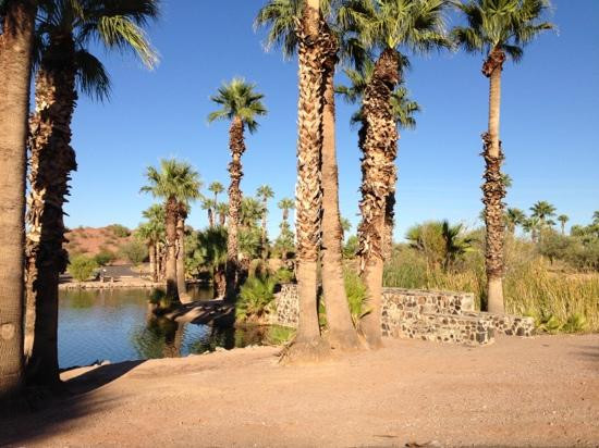 巴巴哥公园-凤凰城必去景点