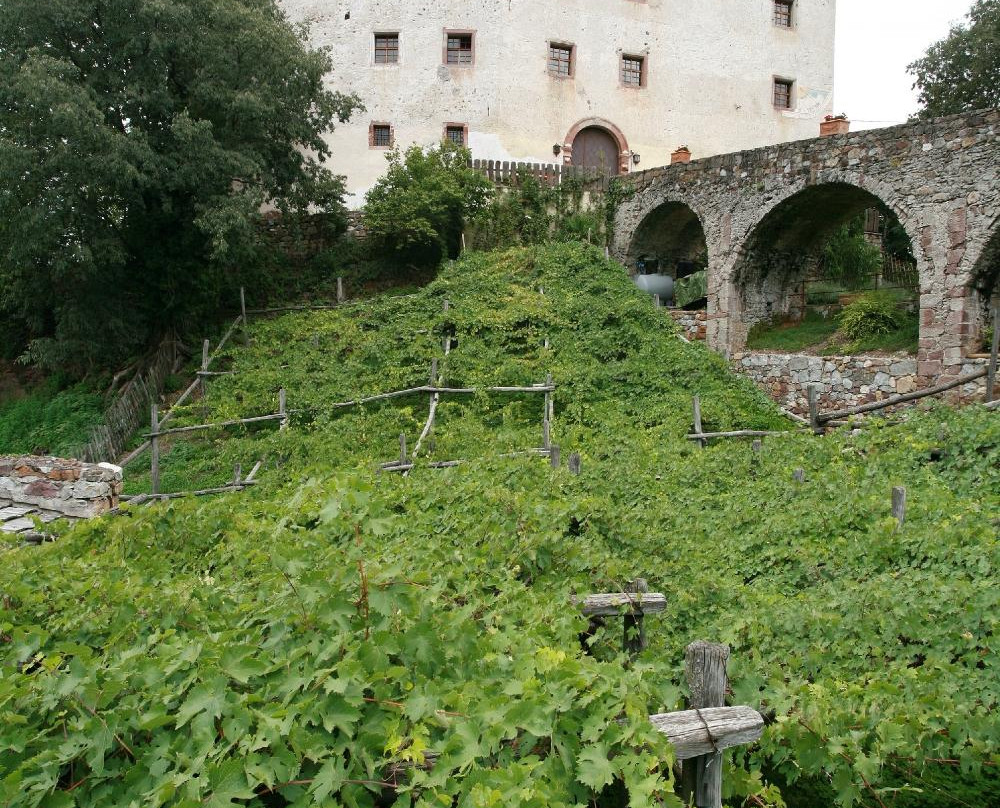 Castel Katzenzungen景点图片