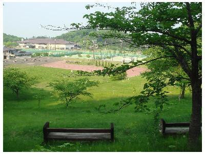 Tokyo Dai-ichi Hotel Iwanuma Resort主图