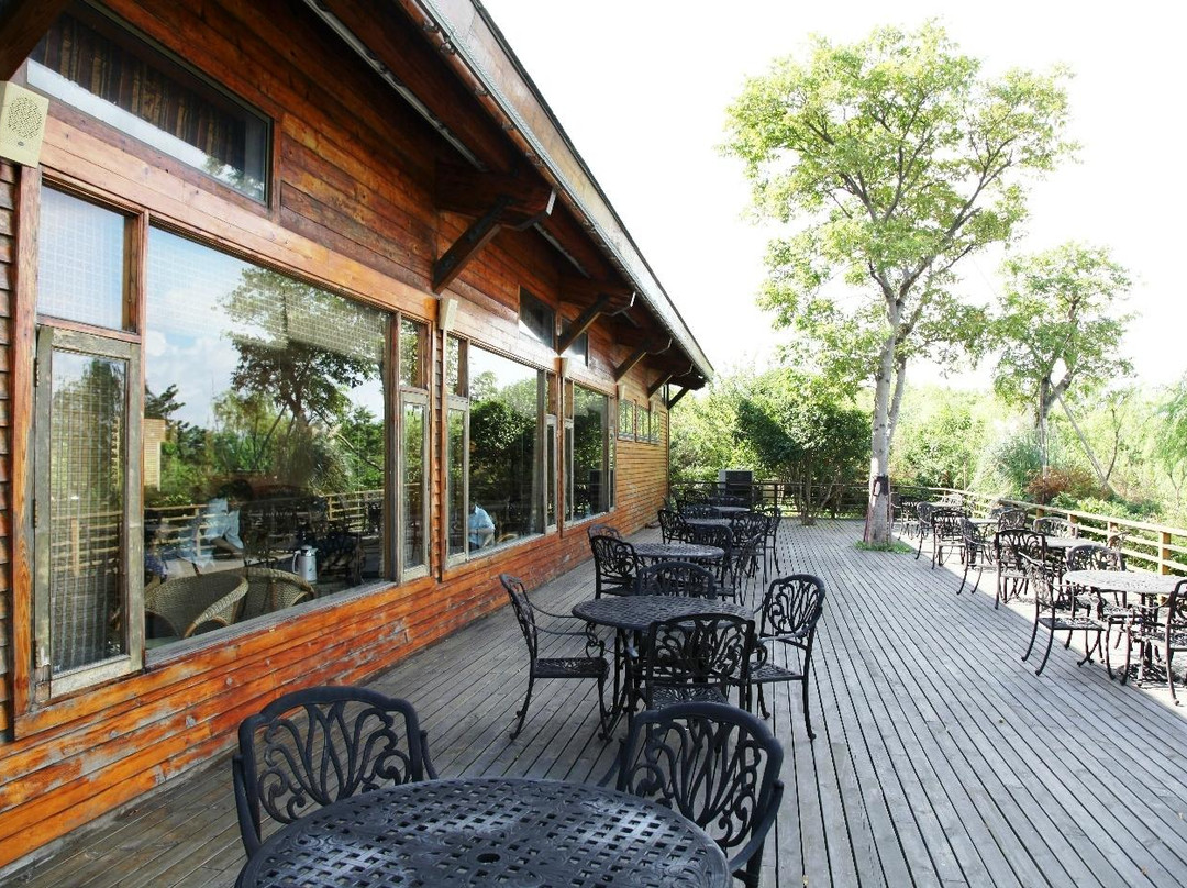 吴淞口炮台湾湿地森林公园-上海市必去景点