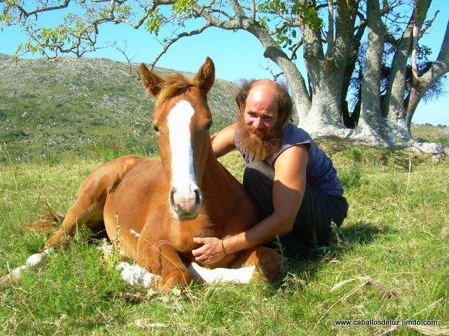 Caballos De Luz-Rocha必去景点