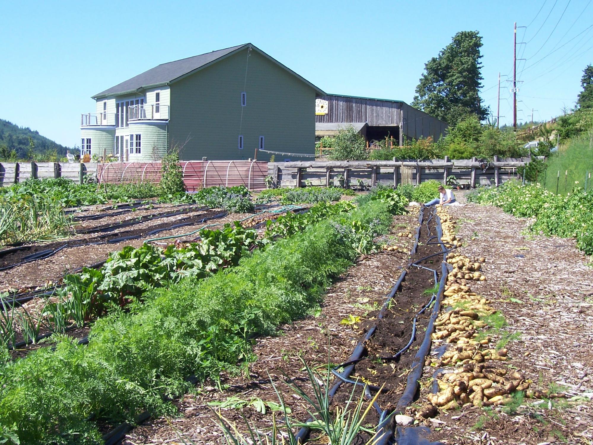 Solstice Farm B & B-浴室