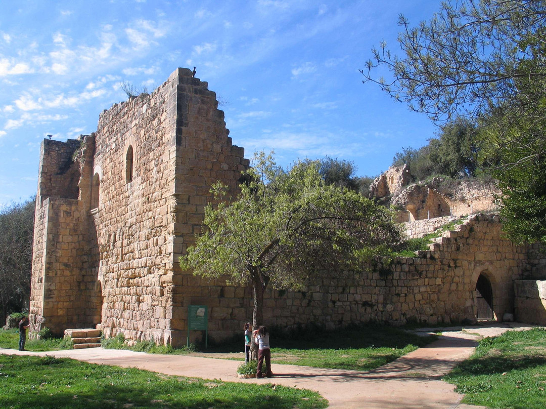 Ein Hemed National Park景点图片