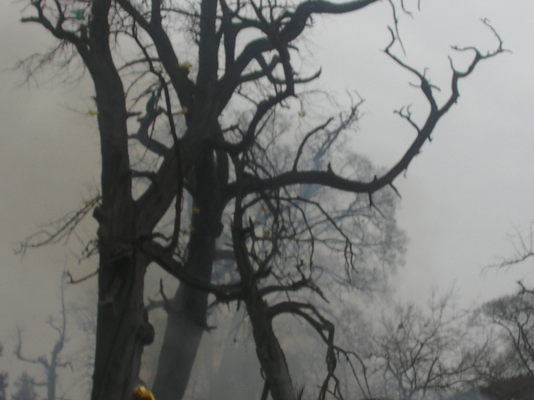 太昊陵 -周口市必去景点