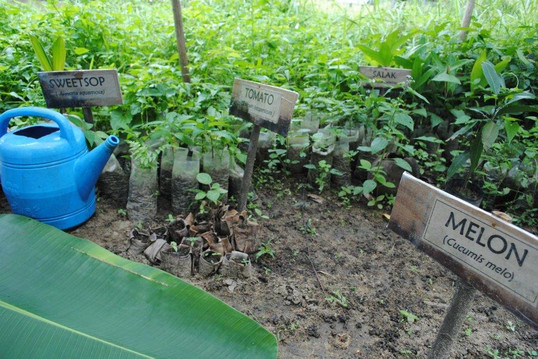 Sawah Ladang Bintan-民丹岛必去景点