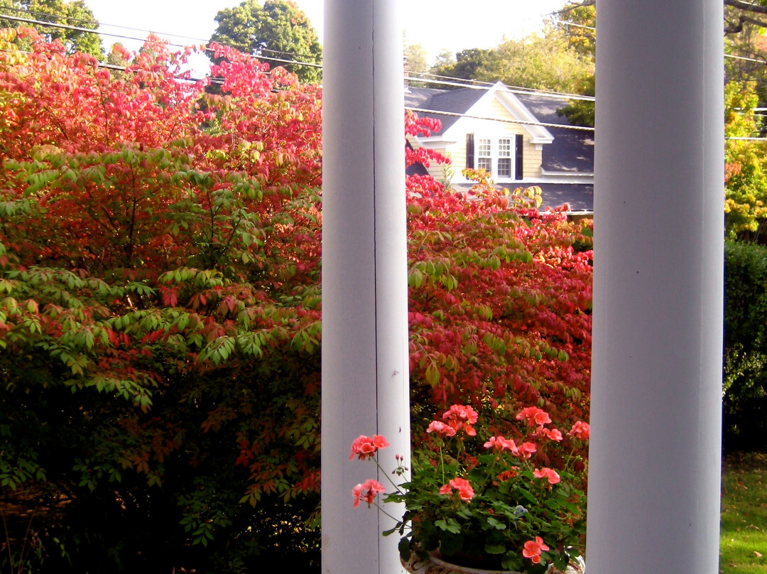 Millbrook Country House主图