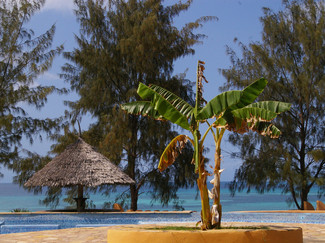 Prison Island - Changuu Private Island景点图片