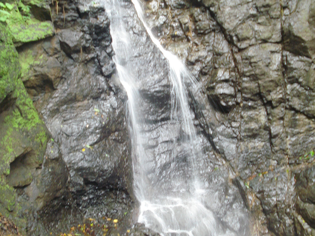 Hacienda las Agujas景点图片