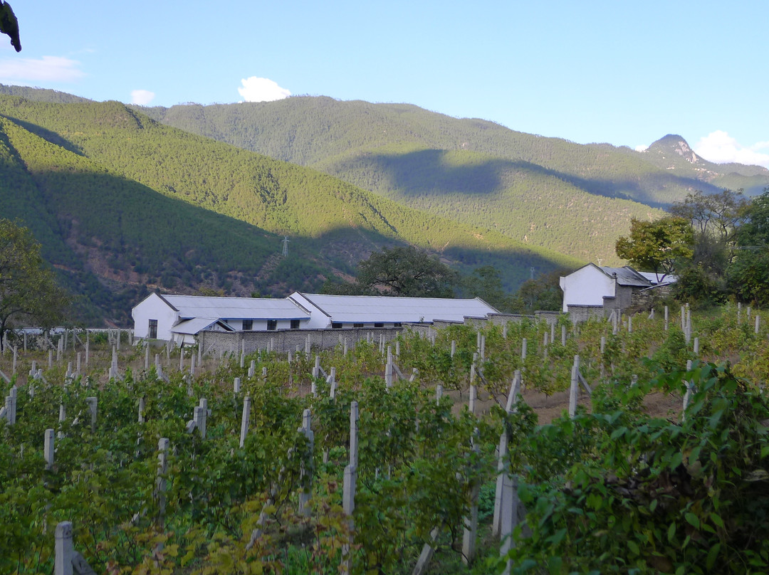 松赞塔城山居主图
