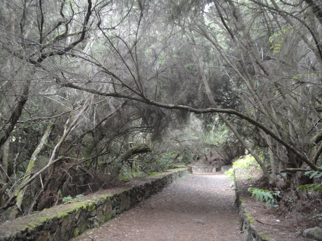 Parque Cultural La Zarza-Garafia必去景点
