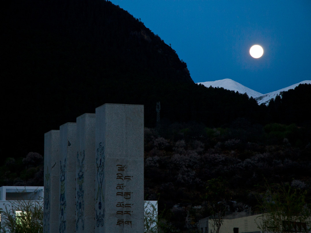 林芝宾馆主图