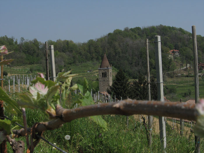 Azienda Agricola Sant'Egidio景点图片