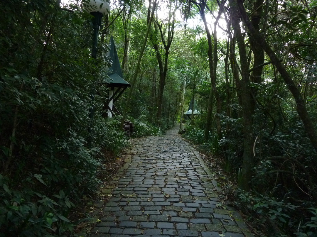Bosque Alemão-库里提巴必去景点