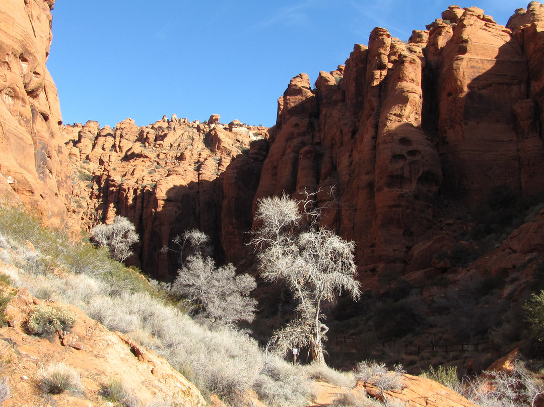 Snow Canyon State Park-犹他州必去景点