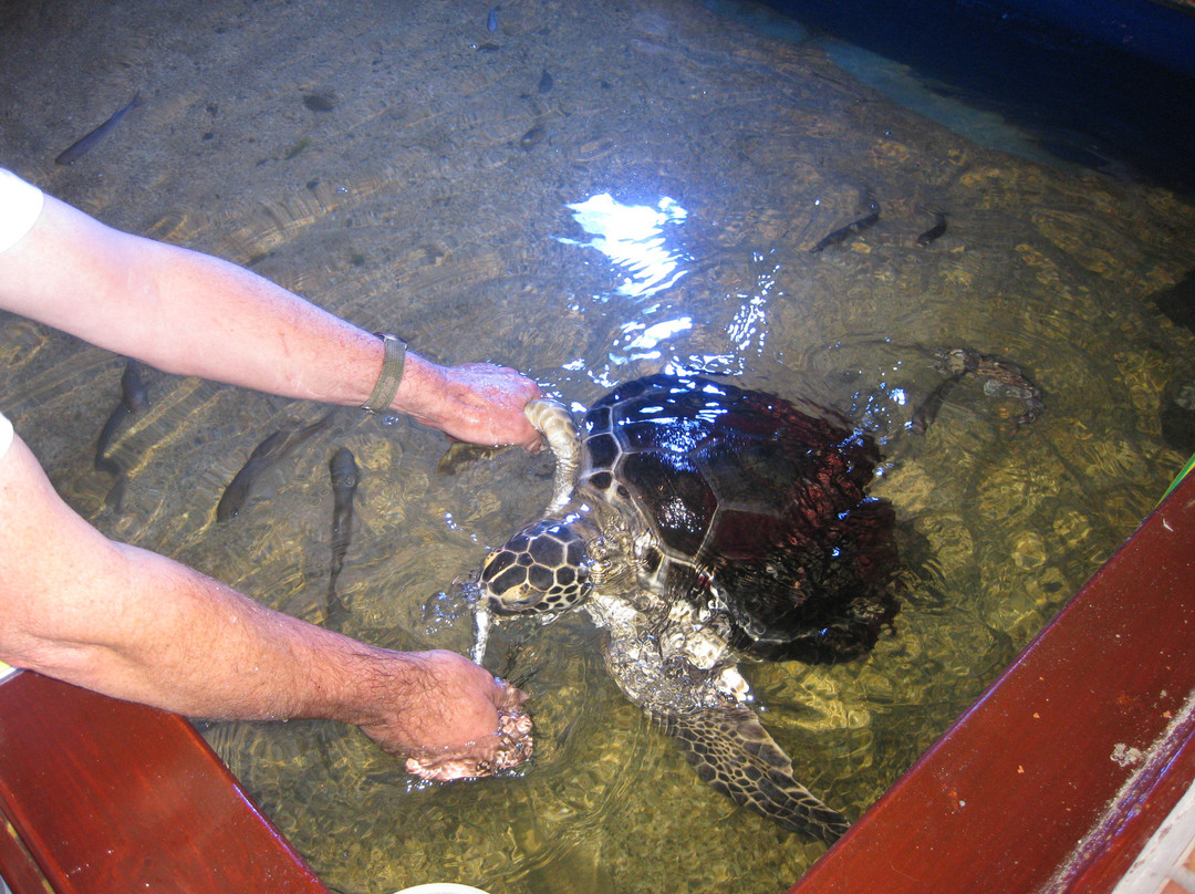 Aquaworld Aquarium & Reptile Rescue Centre-赫索尼索斯必去景点