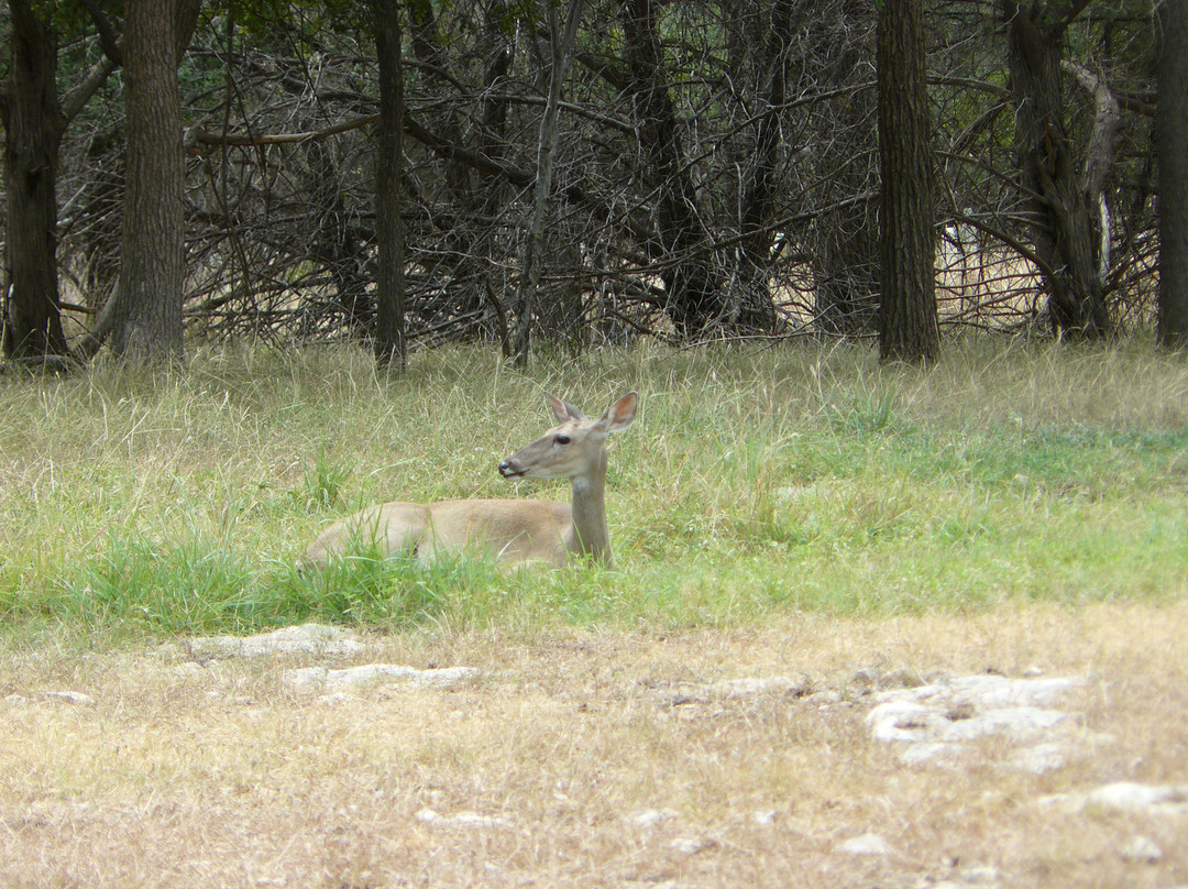 Potters Creek Park-峡谷湖必去景点