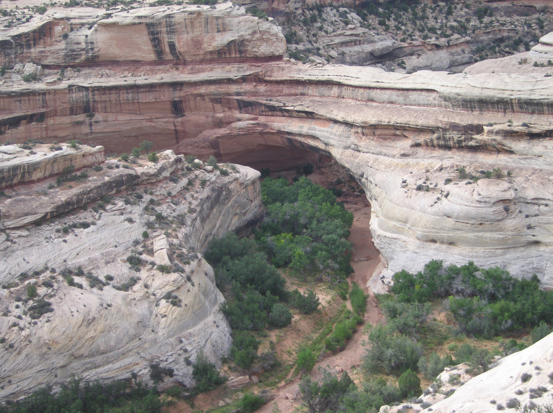 Natural Bridges National Monument-布兰丁必去景点
