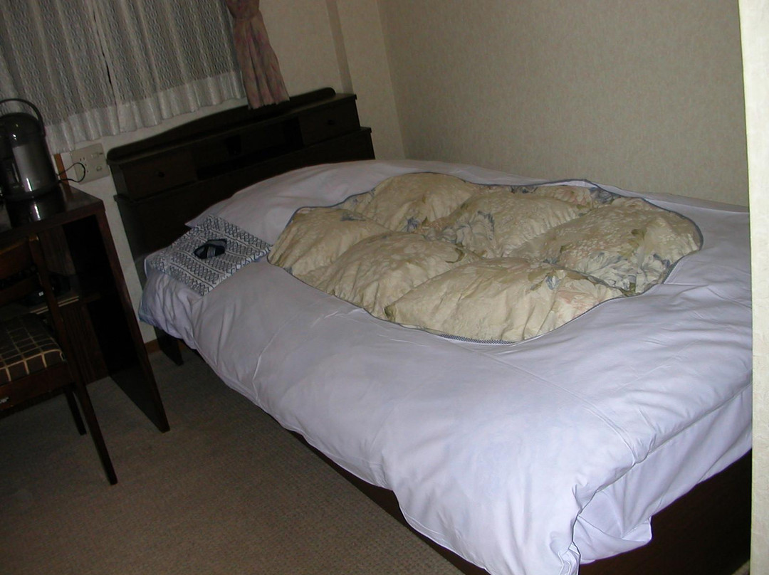 Minami Hikone Station Hotel