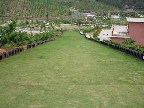 恩龙世界木屋村主图